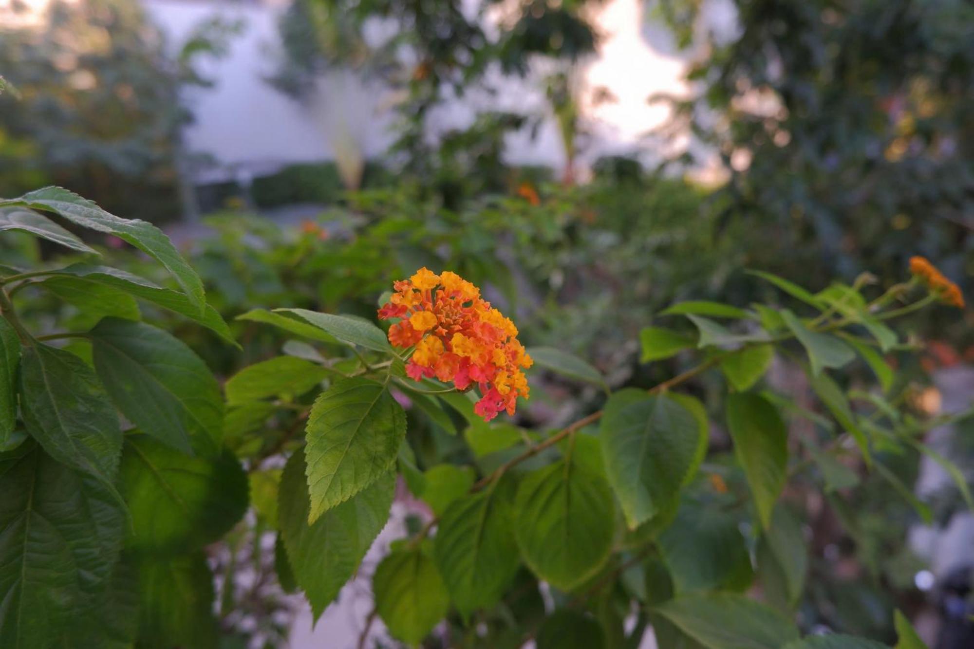 Tuong VI Hotel Hai Phong Kültér fotó